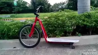 SKATE BIKE...