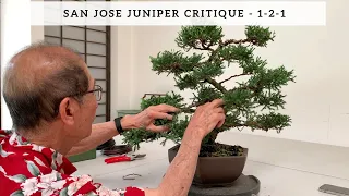 San Jose Juniper Critique - 1 2 1 Workshop
