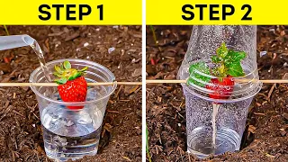 Smart Gardening Hacks To Easily Grow Your Own Plants