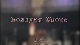 Рок-фестиваль "Молодая Кровь - 2004"