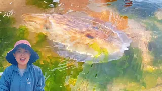 [ENG SUB] Xiao Zhang rushed to the sea  captured huge squid and sprayed ink with ink  and had a lar