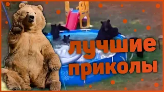 Лучшие приколы 😂 очень смешные приколы 😂 10 минут смеха 😂 подборка приколов 😂 приколы 2019 год