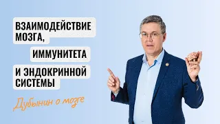 Дубынин о мозге: взаимодействие мозга, иммунитета и эндокринной сферы