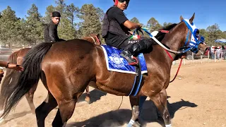 Gran Maturity Millonario De La Madera | El Cayman Cuadra La Hacienda, Taste Coyotes Durango Mex.