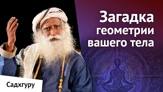 Чего можно достичь, преобразовав геометрию своего тела?