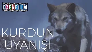 Kurdun Uyanışı (Wolf Totem) - Fragman