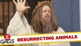 Jesus Brings Animals to Life