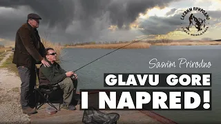 SASVIM PRIRODNO: Glavu gore i napred