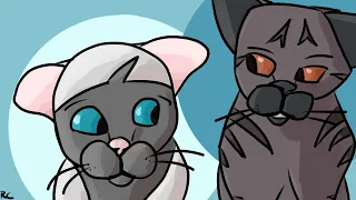 Frostpaw and Whistlepaw Speedpaint from A Starless Clan 🐱😸