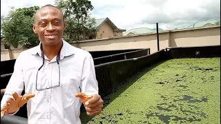 Simple technique for small fishpond farmers to grow big farms