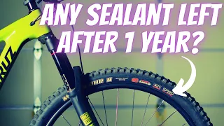 Tubeless MTB Tire Maintenance | How To Inspect Tires and Replace Sealant