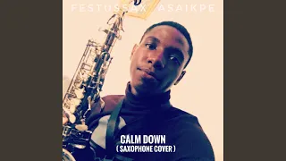 Calm Down (Saxophone Cover)