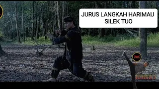 JURUS langkah HARIMAU SILEK TUO MINANGKABAU PART II #silektuo