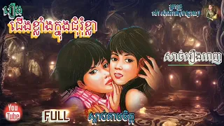 [ជេីងខ្លាំងក្នុងជុំរុំខ្លា​] Full សាច់រឿង​ពេញ​|ប្រលោមលោក​​ម៉ៅ​សំណាង​| Khmer Novel | Sdab Tarm Chet |