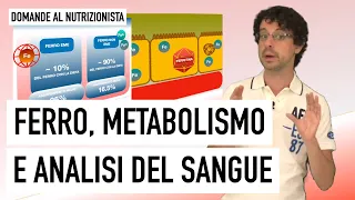 Ferro, metabolismo e analisi del sangue