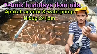 tehnik pelihara ikan nila.! apakah waterpump dan aerator harus hidup 24 jam untuk kolam ikan nila