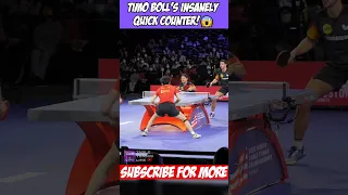 TIMO BOLL LIGHTNING FAST COUNTER LOOP VS. FAN ZHENDONG!!⚡🥵#shorts #tabletennis