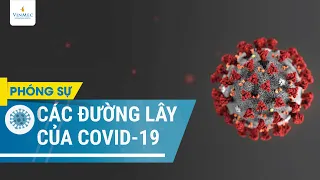 Các đường lây của virus corona chủng mới (SARS-CoV 2)