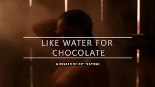 Like Water For Chocolate | A Romantic Love in 9.30 minutes - Torybox