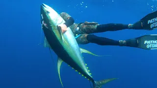 Spearfishing yellow fin tuna off Cape Town
