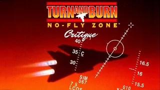 Turn and Burn: No-Fly Zone Critique