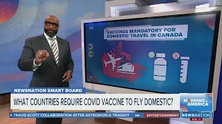 What countries require COVID vaccine to fly domestic? | Morning in America