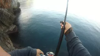 Shore Jigging: "Raped" by a huge Amberjack. Feat. Zenaq Muthos 96HH