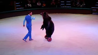 Медведя на скутере видели? Минский цирк
