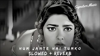 Hum Jante Hai Tum Hame Barbad Karogi (Slowed-Reverb) Alka Yagnik 90's Hits Songs