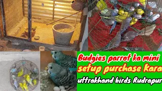 Aaj Budgies parrot ka mini setup purchase Kara 😘