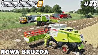 Soybean harvesting, baling & sale soybean straw | Nowa Bruzda | Farming simulator 19 | Timelapse #38