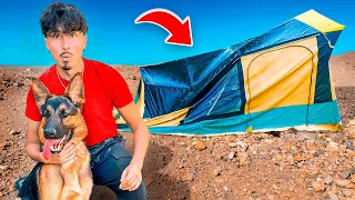 I took MY DOG Camping!