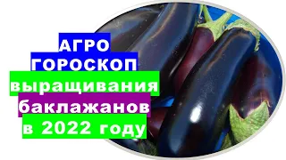 Agrohoroscope for growing eggplant in 2022
