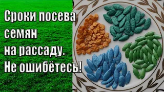 Пожалеем если не посеем семена на рассаду вовремя.