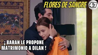 BARAN LE PROPONE MATRIMONIO A DILAN | Resumen: Flores de sangre - Kan Çiçekleri Cap.47