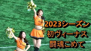 【2023年版ヴィーナス】初の闘魂こめて　リニューアル