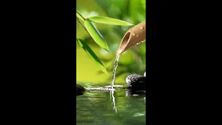 Relaxing Music Bamboo Water Fountain Meditation Music Sleep Music Piano Music Stress Relief Music