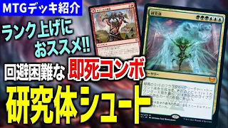 【MTGアリーナ】高成功率な即死コンボ！！ 一撃で相手に超ダメージを叩き込むロマンデッキ「研究体シュート」【スタンダードデッキ紹介】