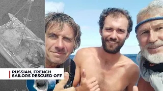 Russian, French sailors rescued off Australian coast after shark attacks