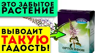 Такого очищения организма ещё не было!  Давление, сердце, отеки, суставы, печень и …