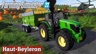 Harvesting SOYBEANS SUNFLOWERS COTTON and BEETS | START from $0 | Farming simulator 22 | Timelapse