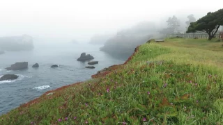 The view from the Heritage House Resort - Little River, California