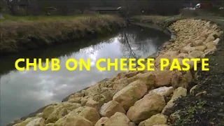 CHUB FISHING ON CHEESE PASTE RIVER DEARNE - VIDEO 50