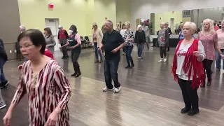 The Wanderer line dance