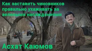 Вебинар «Как заставить чиновников правильно ухаживать ﻿за зелеными насаждениями»