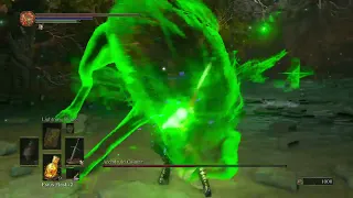 Dark Souls 3 Convergence Mod Archdruid Caimar Boss Fight