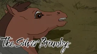 The Silver Brumby - Charlie's Friend Needs Help (HD - Full Episode) Cartoons Animals For Kids