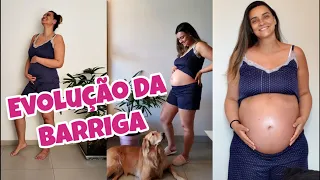 EVOLUÇÃO DA BARRIGA NA GRAVIDEZ ATÉ OS 9 MESES