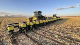 First day of planting cotton 2021