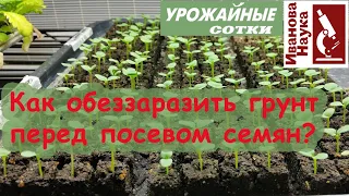 Обеззараживание грунта для рассады: нюансы, ошибки и рекомендации. Как же оставить грунт живым?